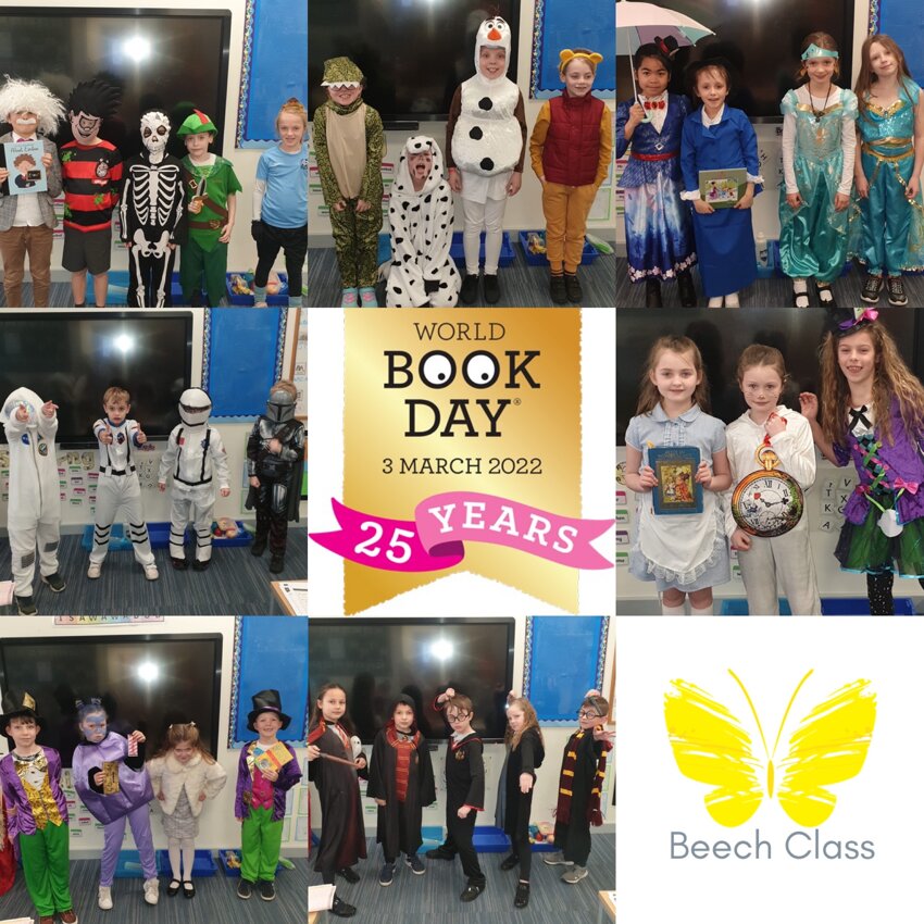 Image of World Book Day Beech