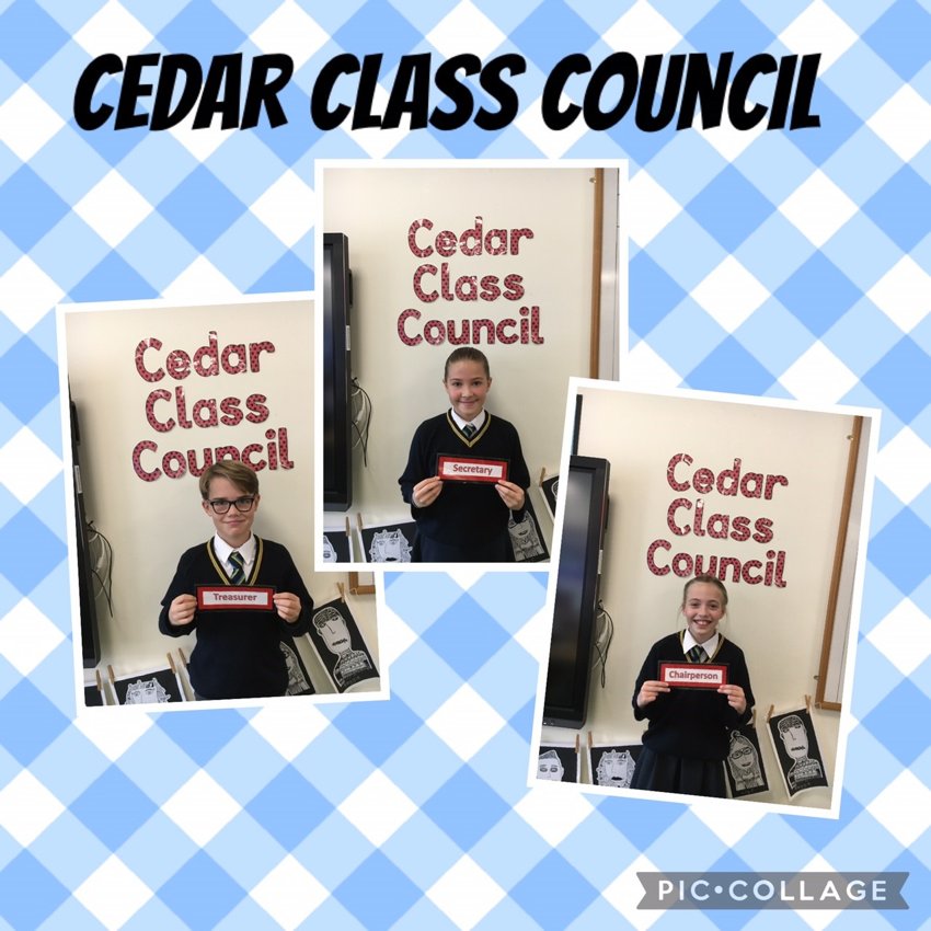 Image of Cedar Class Council
