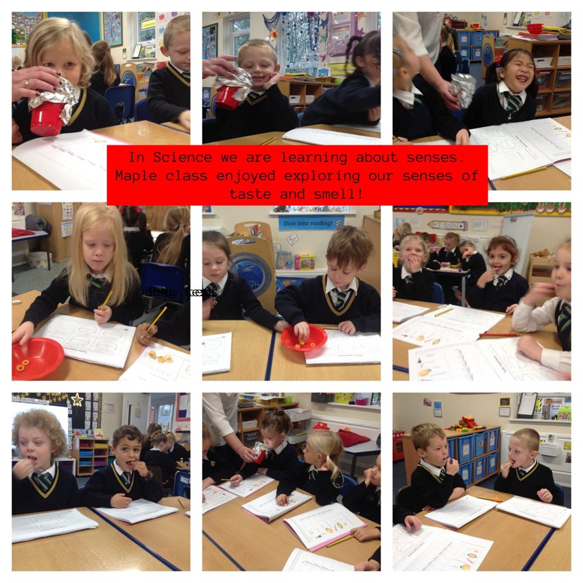 Image of Maple class Science - exploring our senses