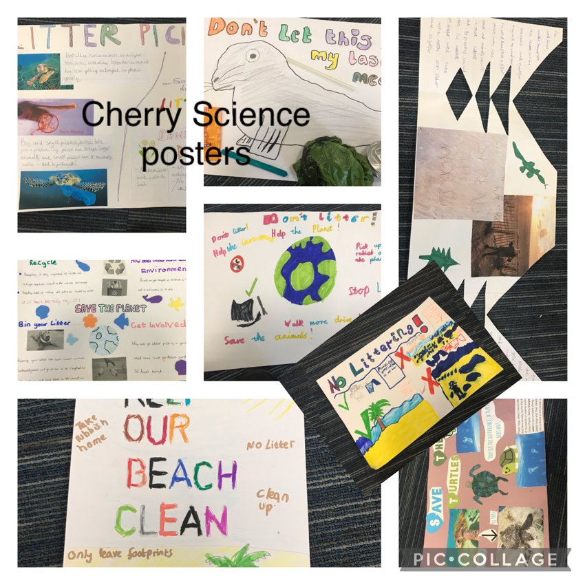 Image of Poplar Science posters - a small selection of the high standard of work!